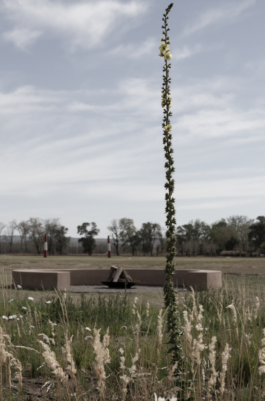 JUGO™ Creative Studio & Management Agency